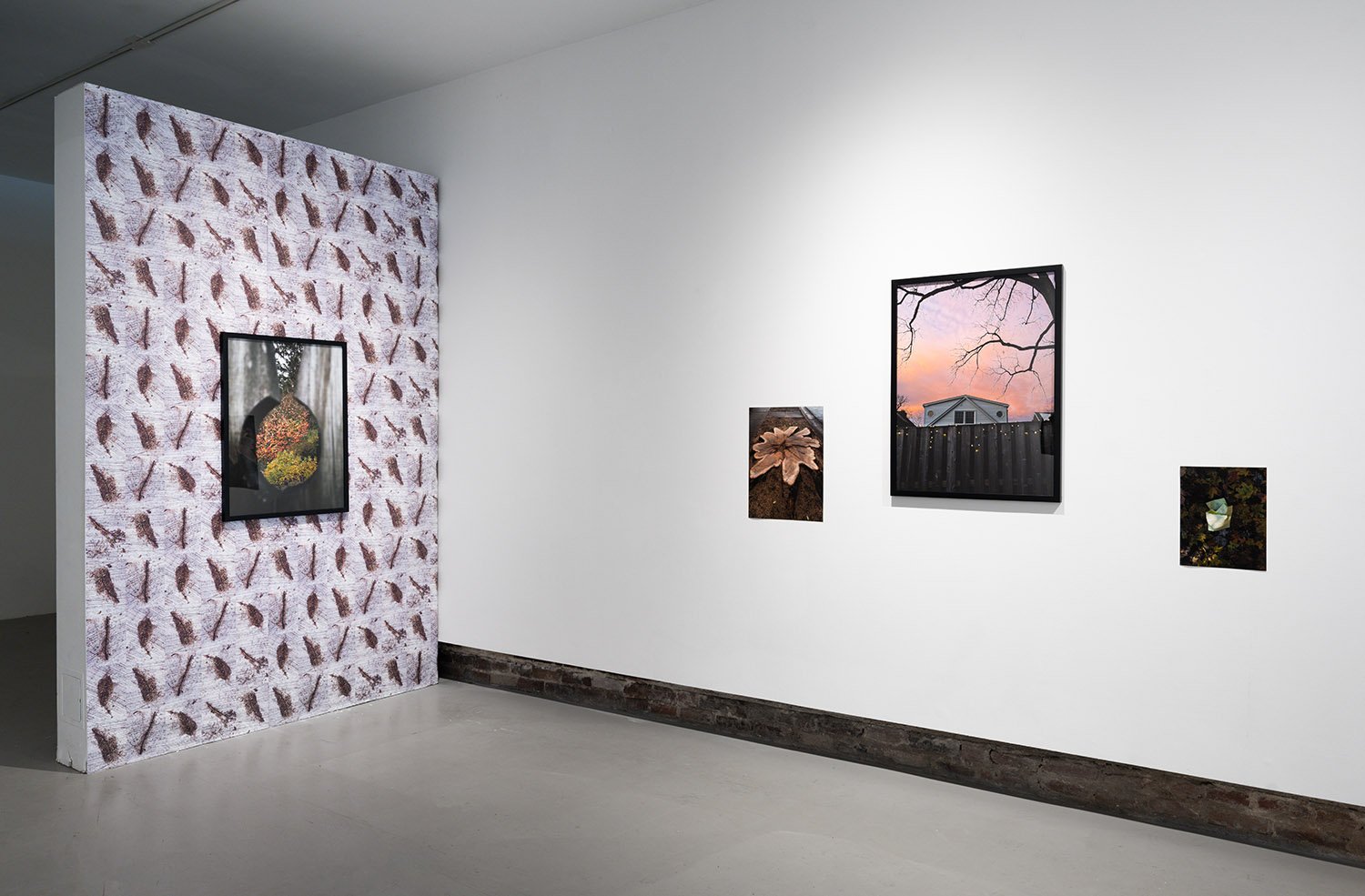 María Luz Bravo (M.F.A. in New Media Photojournalism '18)