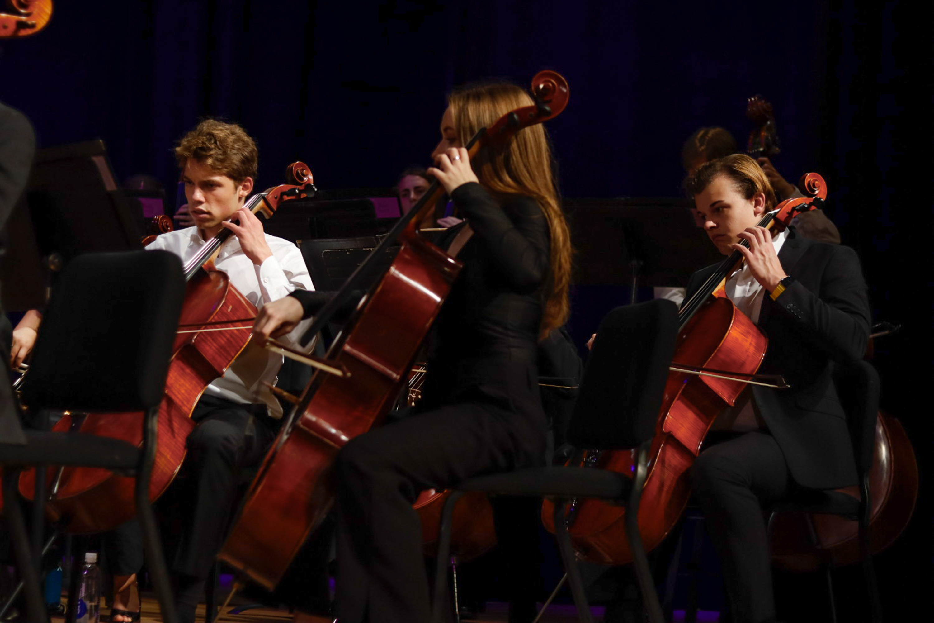 Orchestra
