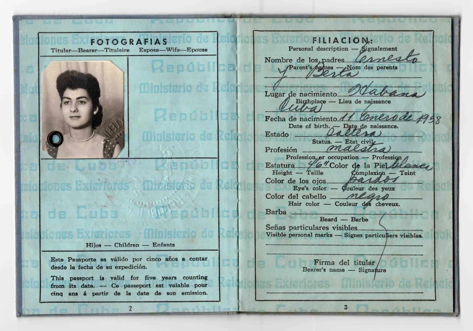 Rooted by Alexandra Rodriguez, New Media Photojournalism MA, ‘24