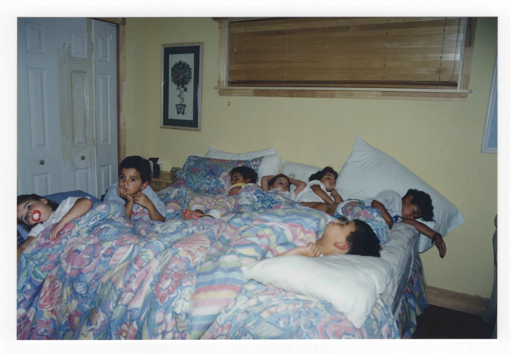 Rooted by Alexandra Rodriguez, New Media Photojournalism MA, ‘24