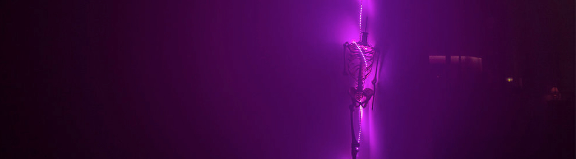 Nakazawa purple lights exhibit