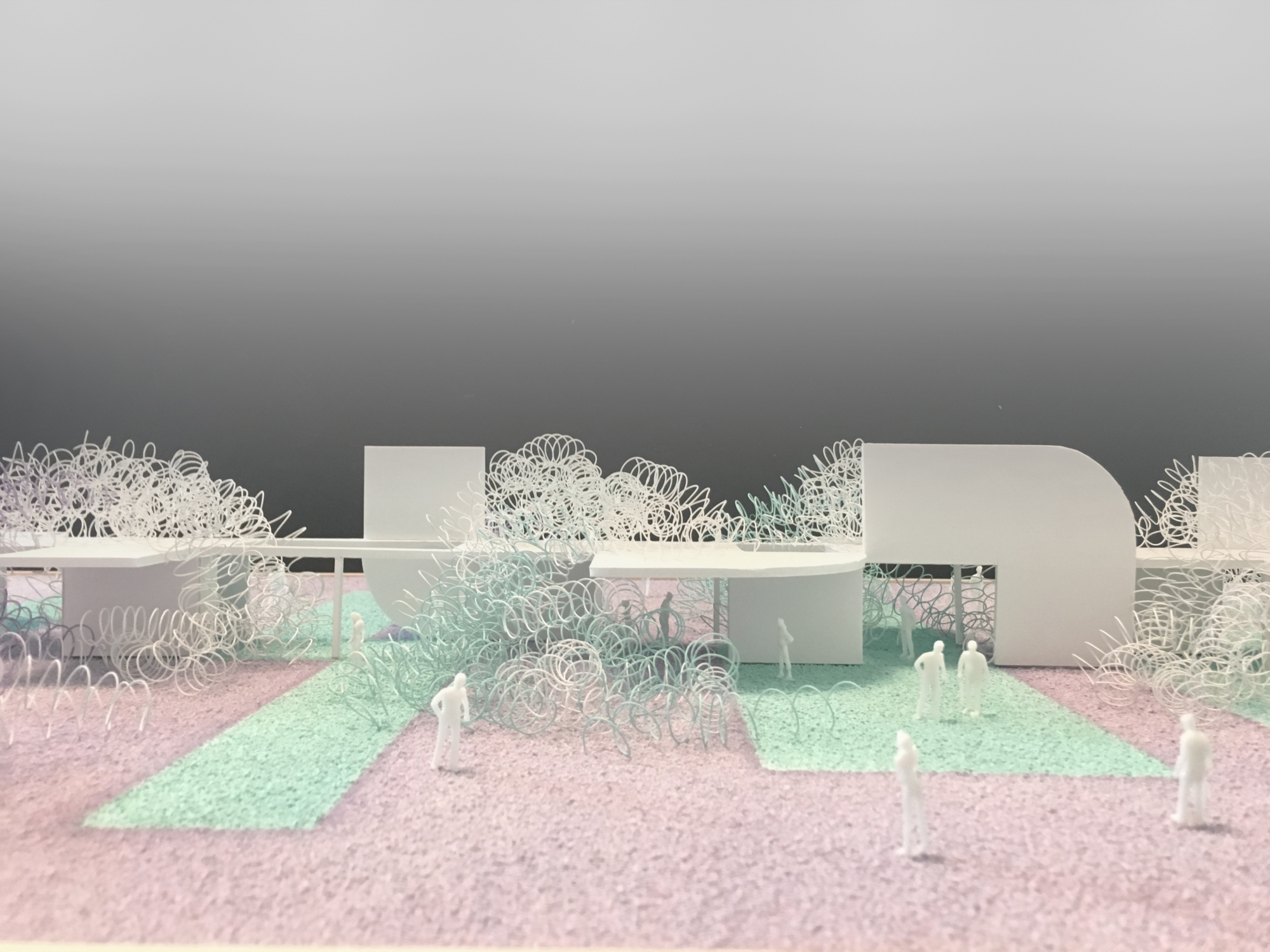 SPORTS Buttonwillow Rendering 