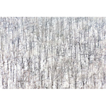 Pennsylvania Project #10