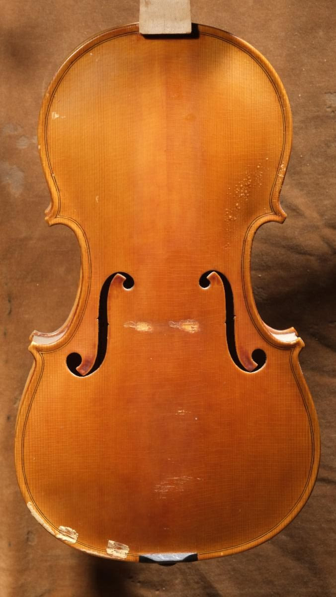 Violin