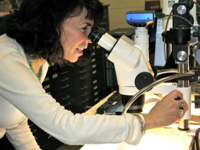 Lynn Brostoff