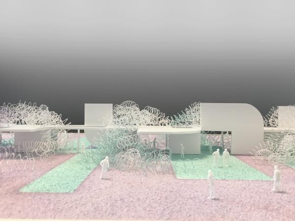 SPORTS Buttonwillow Rendering 