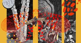 Lauren Gillespie's theme for this collage was the invasive spotted lanternfly, which can negatively affect the health of plants and trees.